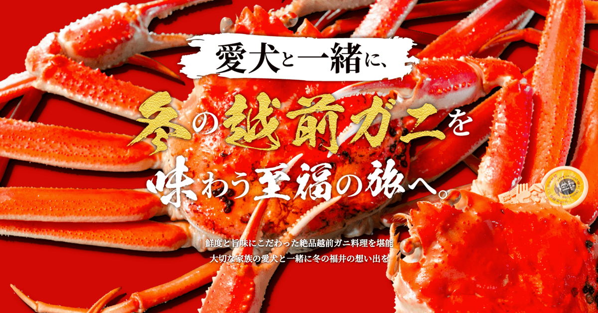 冬の王様 越前ガニを愉しむ｜【公式】愛犬と添い寝できる温泉宿月香（げっか）福井県あわら市